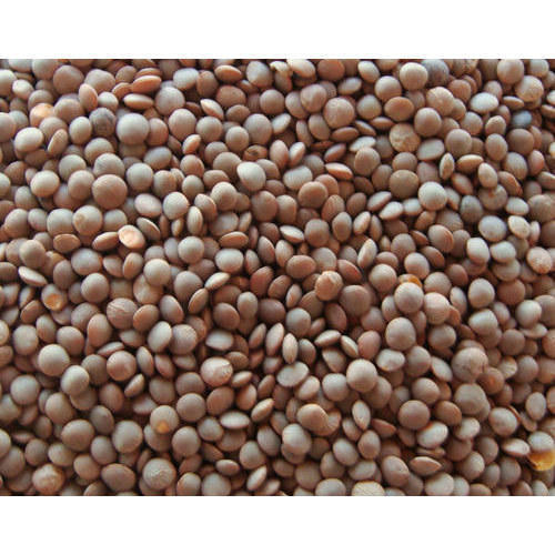 Whole Red Masoor Dal, for High In Protein