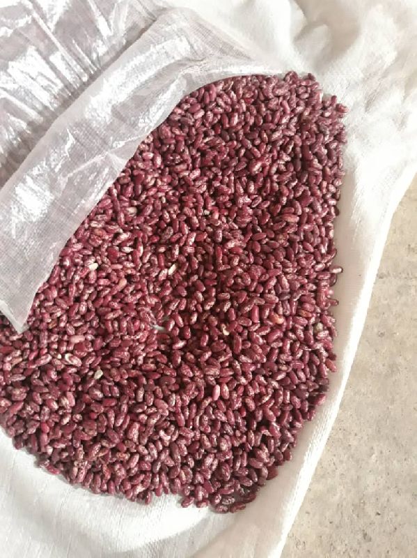 Granules Common red beans, for Cooking, Feature : Best Quality, Full Of Proteins
