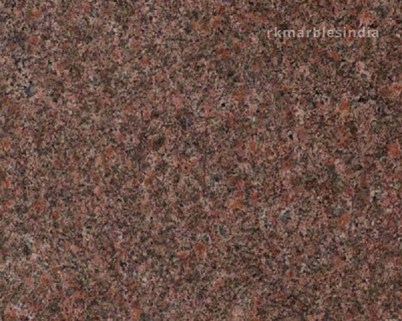 Doted Z Brown Granite, Size : 120x240cm