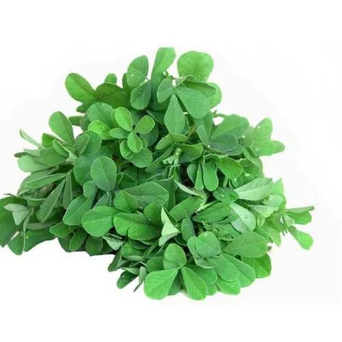 Organic Fenugreek Leaves, Color : Green