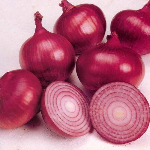 Organic Onion, Color : Red