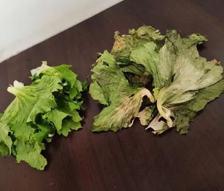 Dehydrated Lettuce