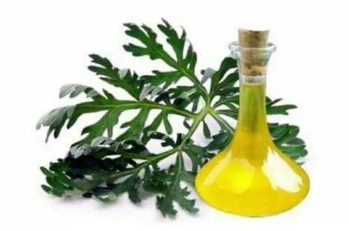 Davana Oil, for Aromatherapy, Medicine Use, Personal Care, Form : Liquid