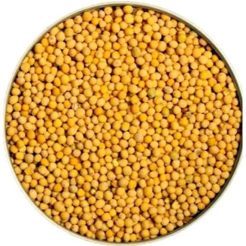 Raw Organic yellow mustard seeds, Certification : FSSAI Certified