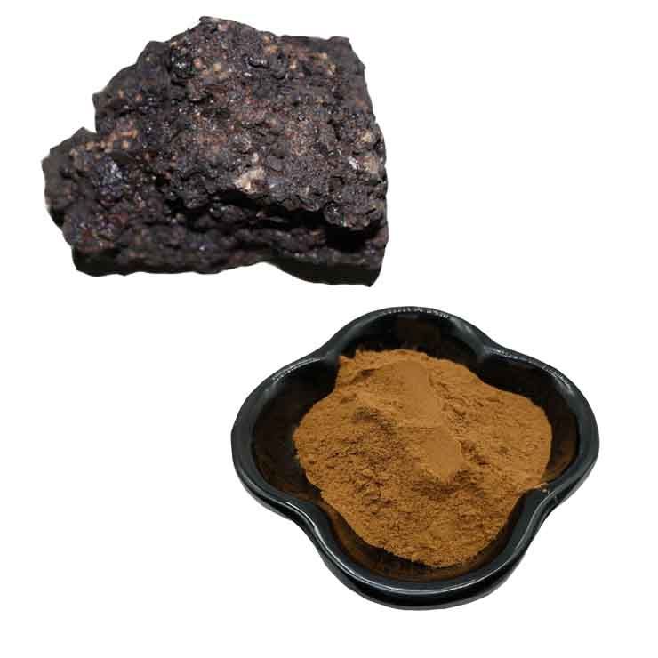 shilajit extract