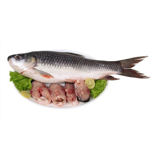 Fresh Fish Meat, for Household, Mess, Restaurants, Packaging Type : Carton  at Best Price in Lucknow