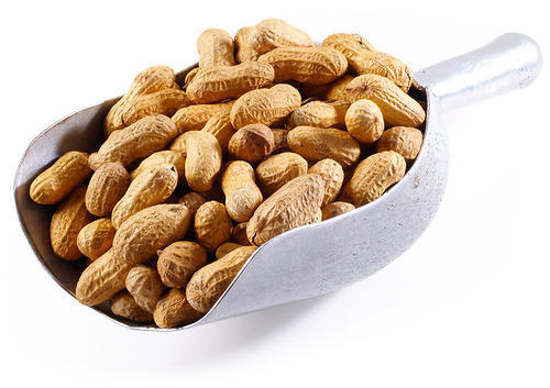 Shelled Peanuts, for Oil, Cooking, Taste : Sweet