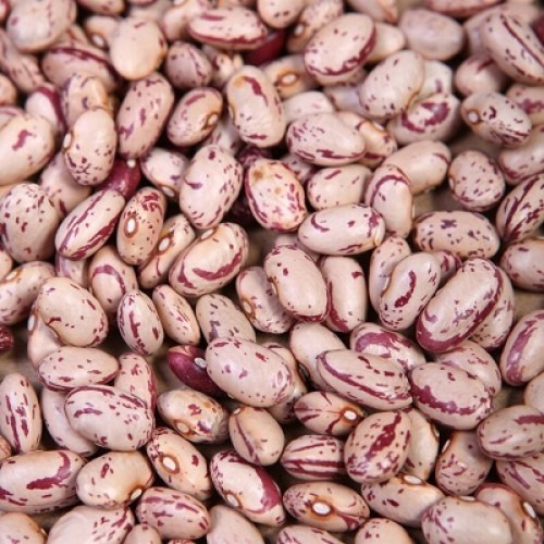 Natural Speckled Kidney Beans, for Human Consumption, Feature : Rich In Taste
