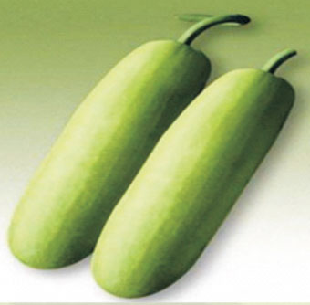 117 F1 HY Bottle Gourd Seeds