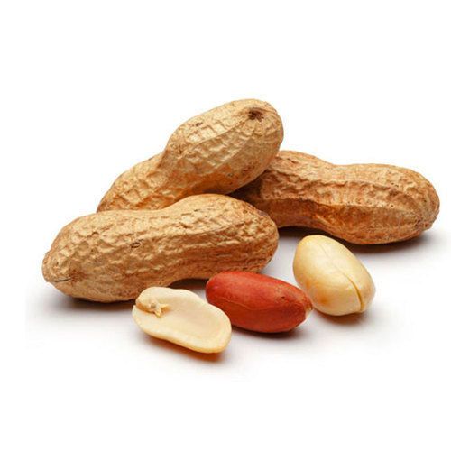 Shelled Groundnut