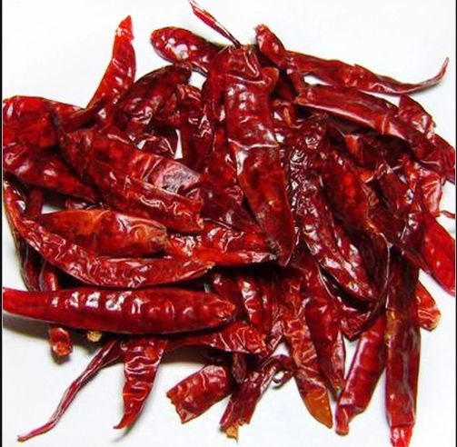 Raw Natural Dried Red Chilli, for Food Medicine, Spices, Cooking, Packaging Type : Plastic Box, Plastic Packet