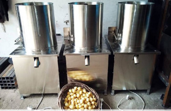 Potato Peeler - Sri lakshmi food machines