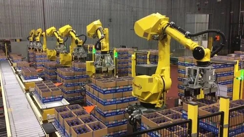 Robotic Automation System