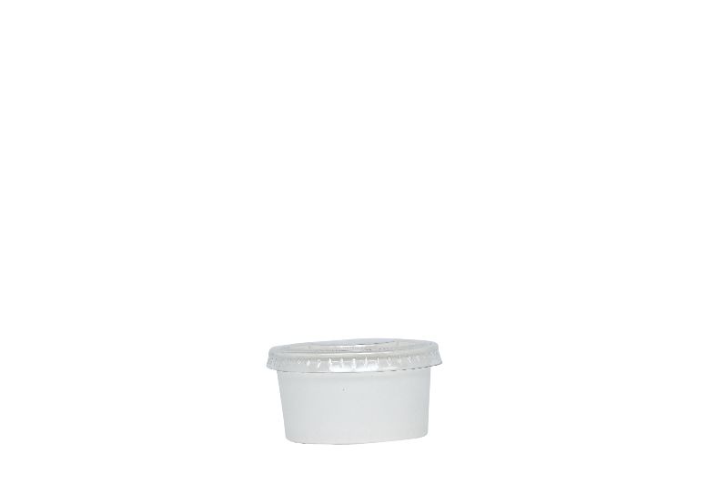 Disposable Box With Lid - Plastic Ice Cream Container Manufacturer from  Ludhiana