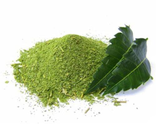 Organic Neem Powder, for Herbal Medicines, Cosmetic Products, Feature : Natural Taste