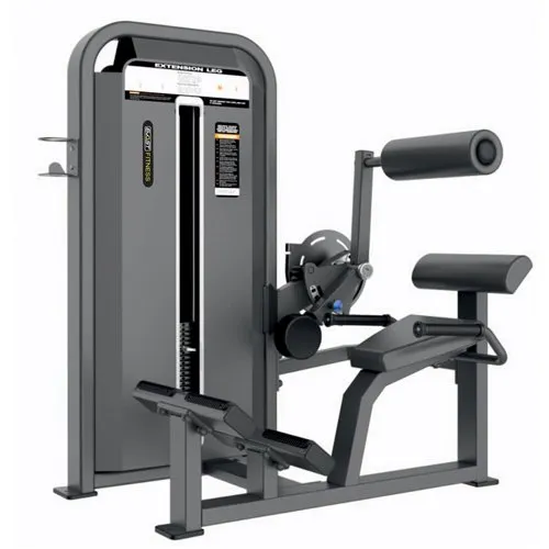 Back Extension Machine at best price INR 70,000 / Piece in Indore ...