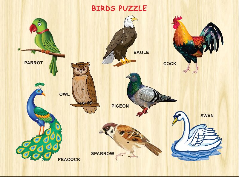 wooden Bird Puzzle Tray Toy