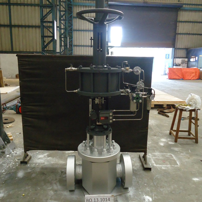 Severe Service Control Valve