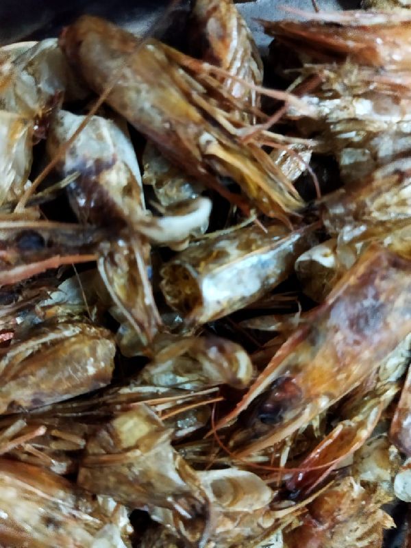 Shrimp Meal, Color : Brown