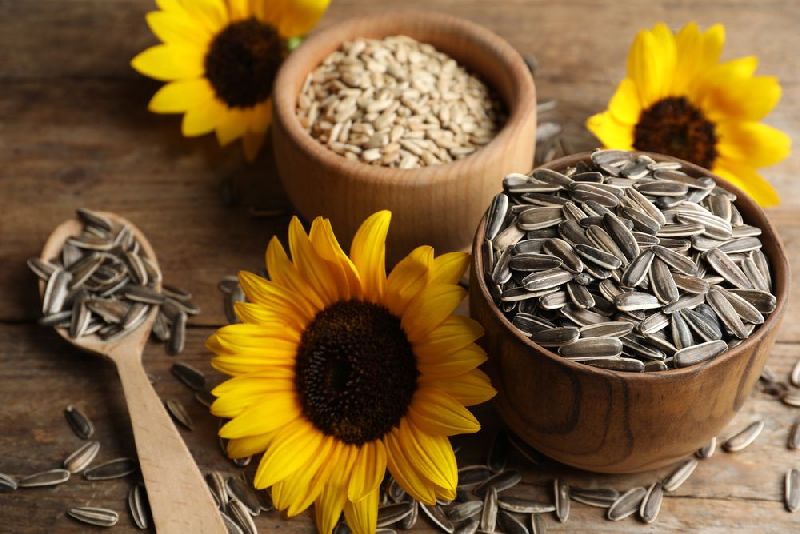 Sunflower seeds, Shelf Life : 1year