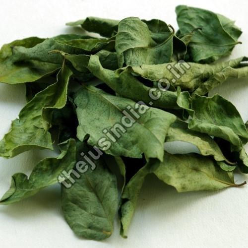 Organic Dehydrated Curry Leaves, Certification : FSSAI Certified