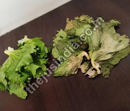 Dehydrated Lettuce, Shelf Life : 2 Month