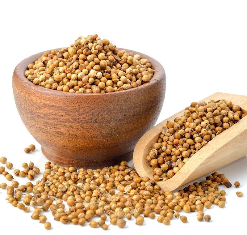 coriander seeds