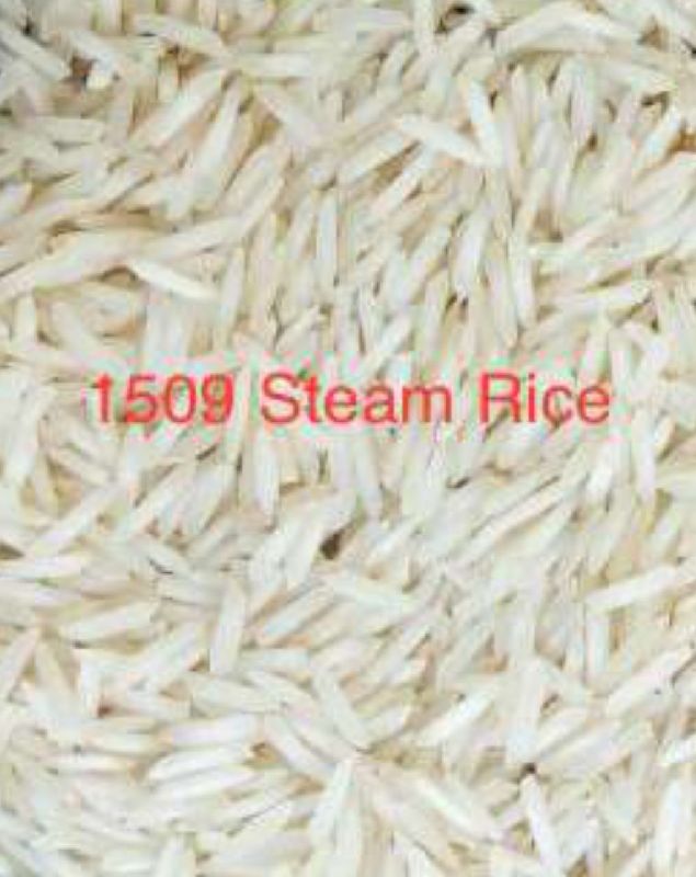 1509 Steam Rice, Length : 8.3 mm