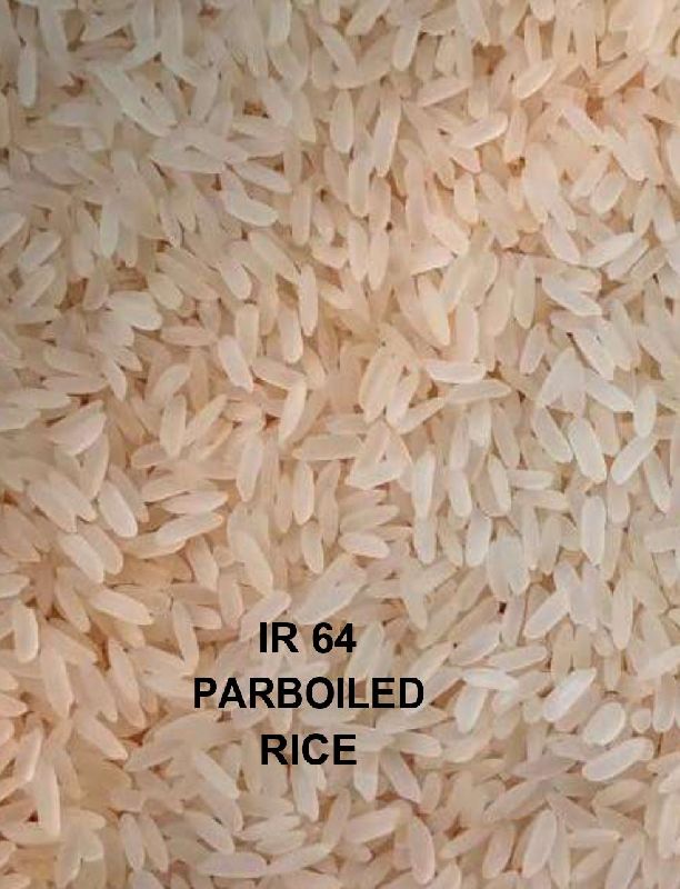 Organic IR 64 Parboiled Rice at best price in Ahmedabad Gujarat from SF ...