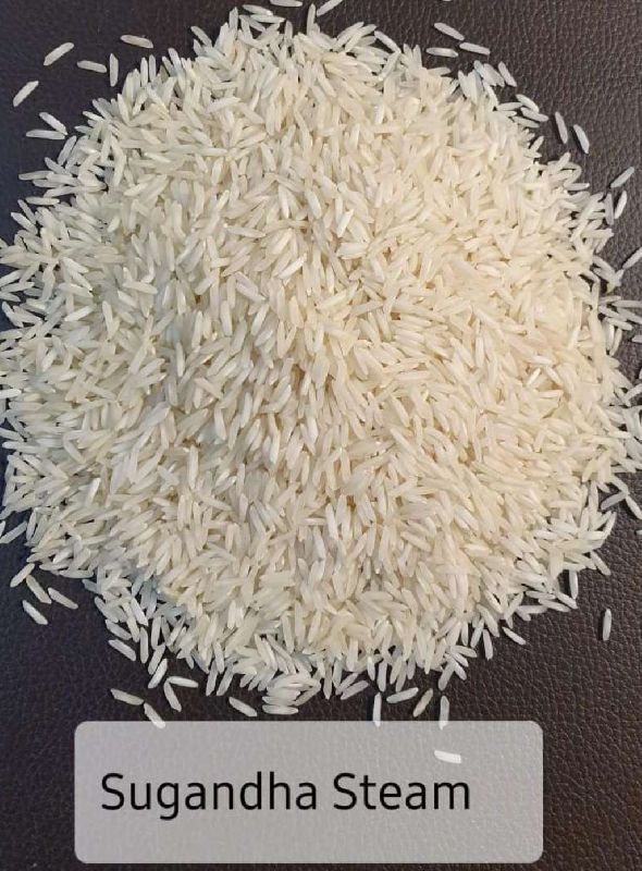 Organic Hard Sugandha Steam Rice, Color : White