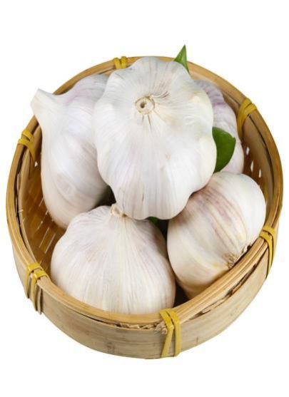 fresh garlic