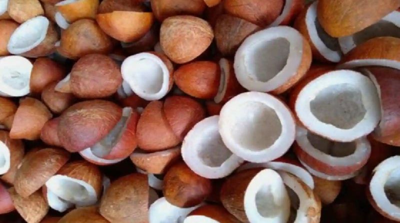 Dry Coconut Copra, for Oil, Herbal Formulation, Cooking, Ayurvedic Formulation, Packaging Type : Plastic Packat
