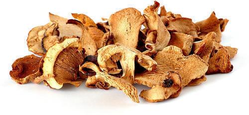 Organic Dried Oyster Mushroom, Color : Light Brown