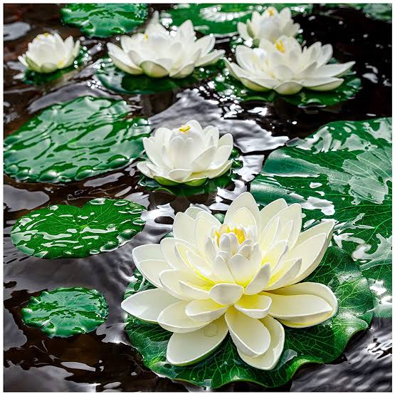 PVC Artificial Lotus Flowers, Color : Pink, White