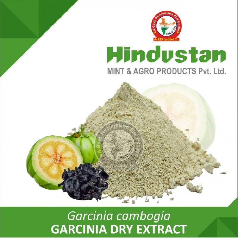 Garcinia Dry Extract by Hindustan Mint & Agro Products Pvt. Ltd. from ...