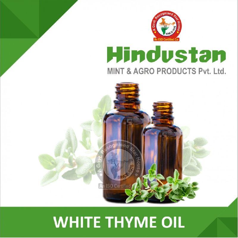 White Thyme Oil at best price in Sambhal Uttar Pradesh from Hindustan Mint & Agro Products Pvt