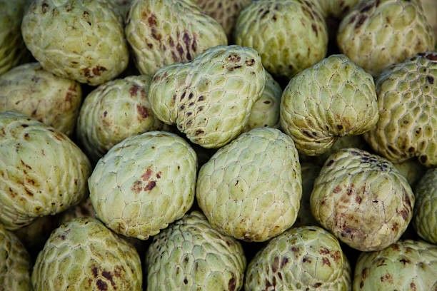 custard apple