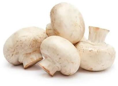 1 Kg Organic Mushroom