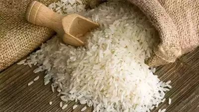 20 Kg Organic White Rice