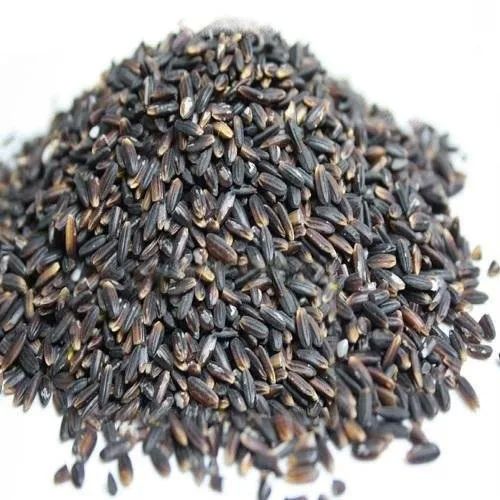 5 Kg Organic Black Rice, for Human Consumption, Cooking, Certification : FSSAI Certified