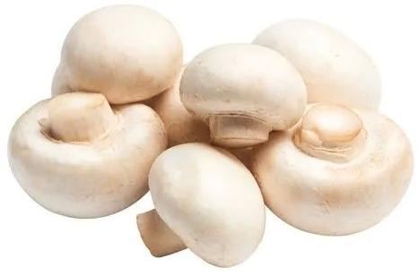 500gm Organic Button Mushroom