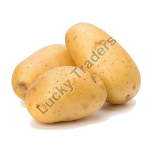 Natural fresh potato, for Human Consumption, Certification : FSSAI Certified