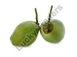 Natural Fresh Tender Coconut, for Free From Impurities, Color : Green