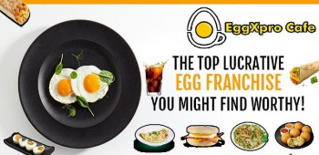 Egg franchise business opportunity