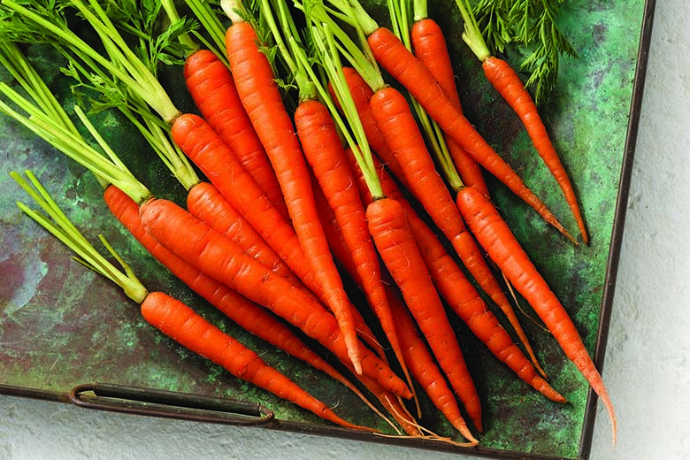 Organic Fresh Carrot, Taste : Sweet