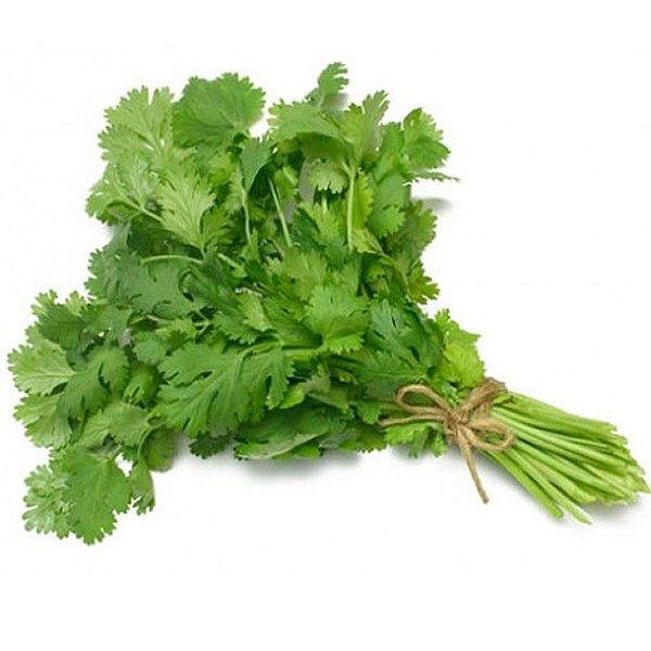 Fresh Coriander Leaves