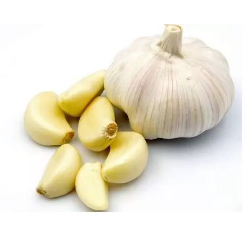 Fresh garlic, Shelf Life : 3months