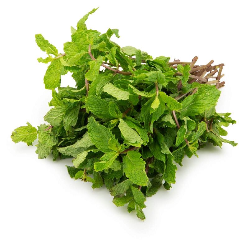 Organic Fresh Mint Leaves, Feature : High Nutrition