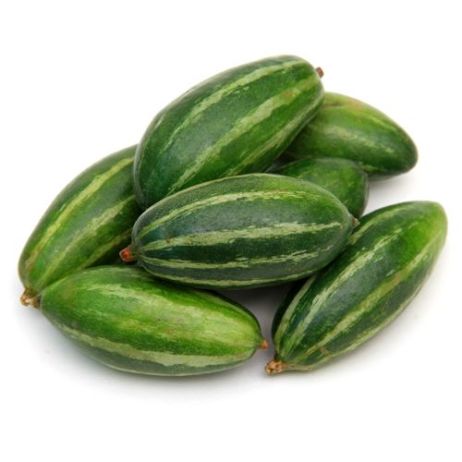 Organic Fresh Pointed Gourd, for Good Nutritions, Good Health, Color : Green