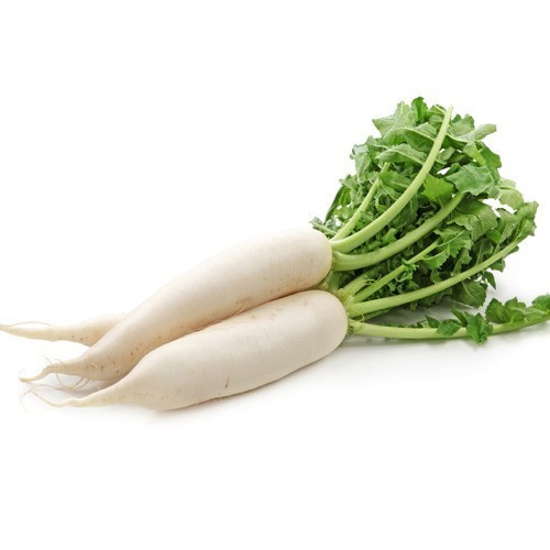 Fresh Radish, Color : White